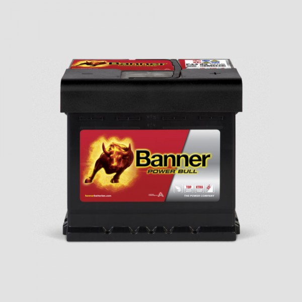 Banner Power Bull P44 09 12V 44Ah Starter battery 420A